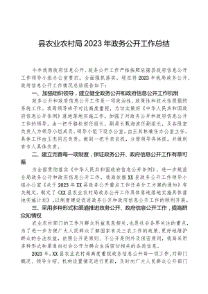 县农业农村局2023年政务公开工作总结.docx