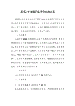 2022年度组织生活会实施方案.docx