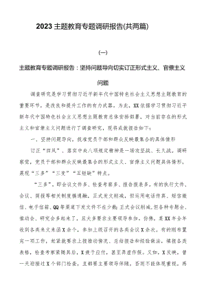 2023主题教育专题调研报告（共两篇）.docx