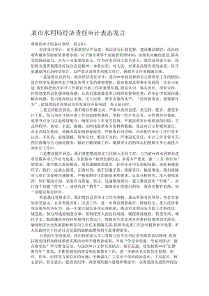 某市水利局经济责任审计表态发言.docx