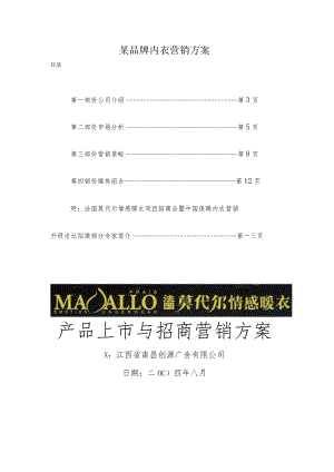 某品牌内衣营销方案.docx