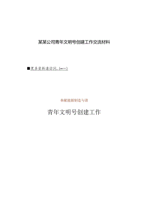 某某公司青年文明号创建工作交流材料.docx