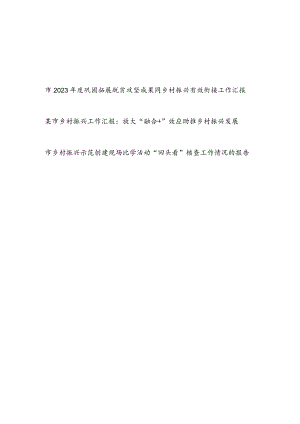 某市2023年度乡村振兴工作汇报和示范创建现场比学活动“回头看”核查工作情况的报告.docx