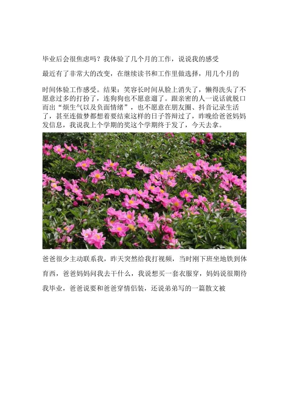 毕业后会很焦虑吗？我体验了几个月的工作说说我的感受.docx_第1页