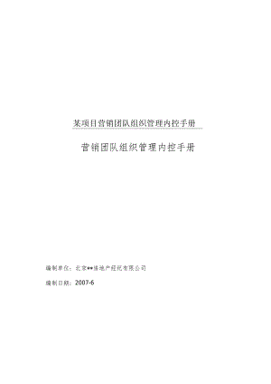 某项目营销团队组织管理内控手册.docx