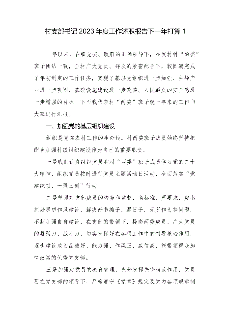 村党支部书记2023-2024年度个人述职报告2篇.docx_第2页