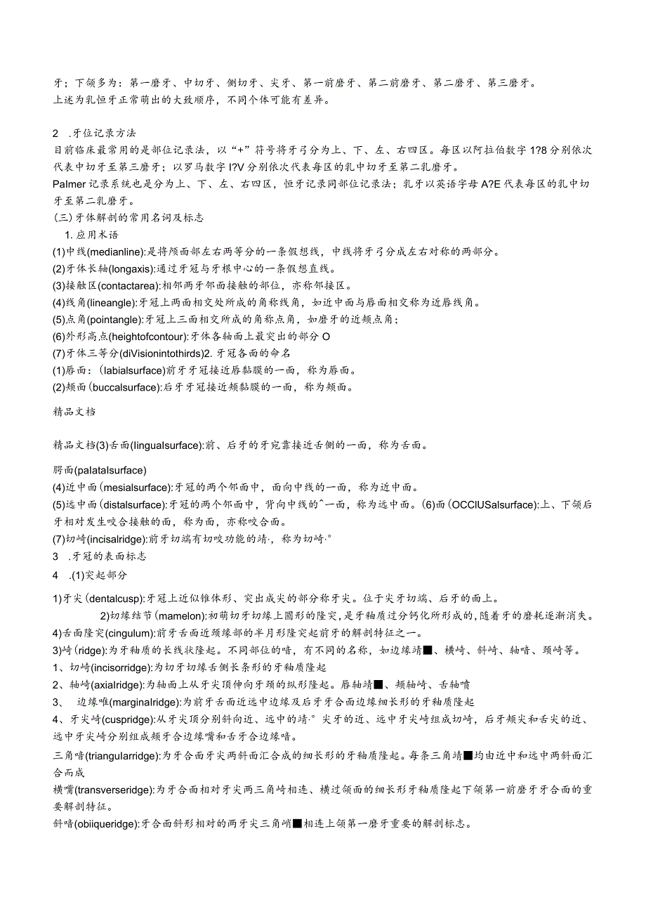 最新口腔解剖生理学重点整理.docx_第3页