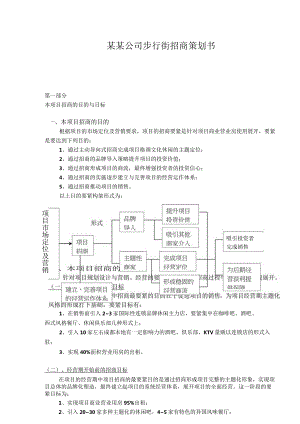 某某公司步行街招商策划书.docx