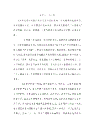 海关系统学习二十大心得.docx