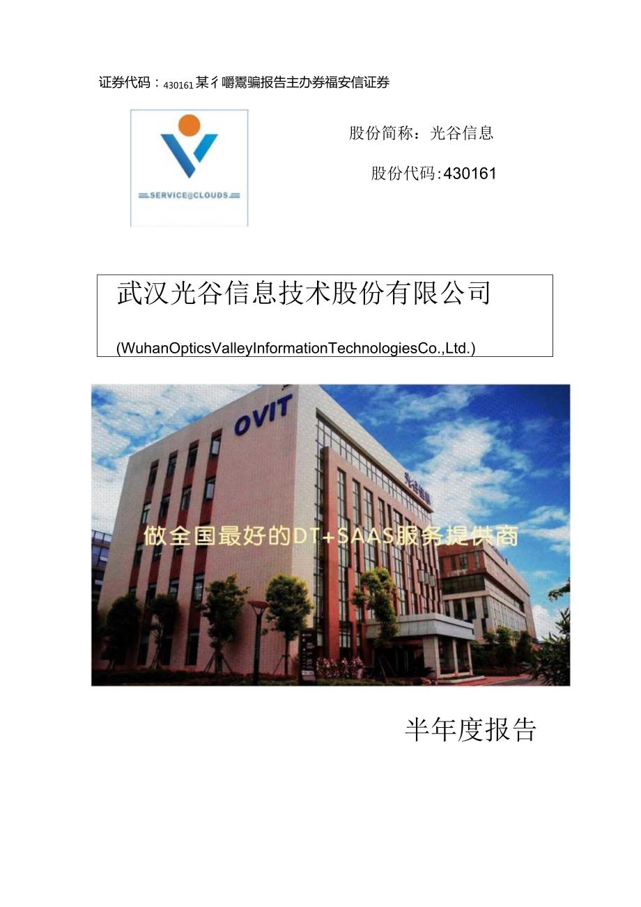 某信息技术半年度报告.docx_第1页