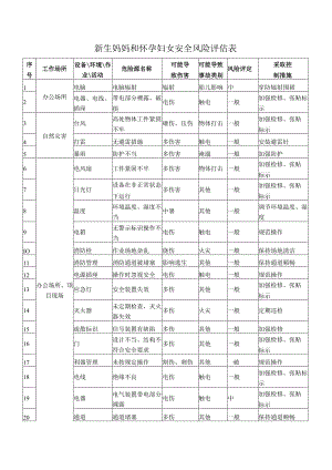 新生妈妈和怀孕妇女安全风险评估表.docx