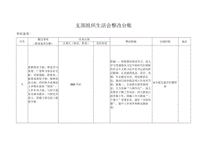 支部组织生活会整改台账.docx