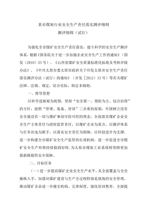 某市煤炭行业安全生产责任落实测评细则.docx