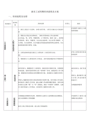 新员工试用期培训流程及方案.docx