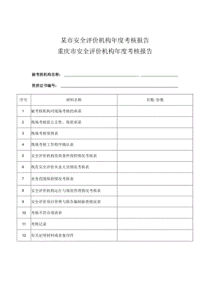 某市安全评价机构年度考核报告.docx