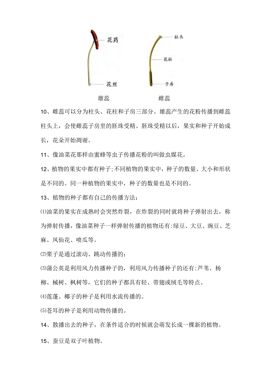 教科版四年级下册科学第二单元《新的生命》知识点归纳总结.docx_第2页