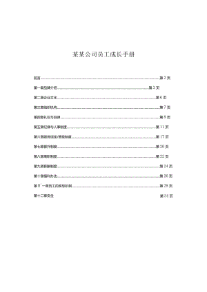 某某公司员工成长手册.docx