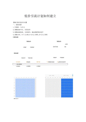 电子商务低价引流计划建立.docx