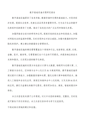 数字基础设施专题研究报告.docx