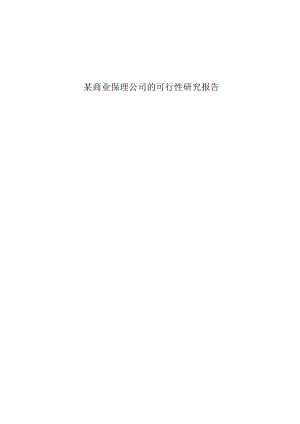 某商业保理公司的可行性研究报告.docx