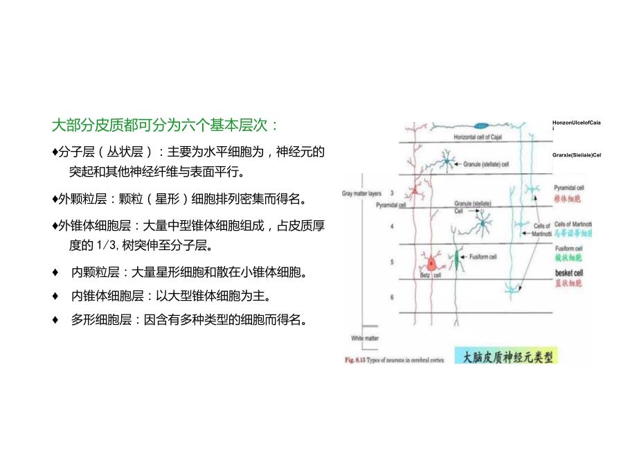 灰质异位、脑裂畸形、脑穿通畸形的影像诊断与鉴别诊断.docx_第3页