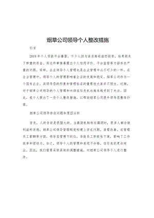 烟草公司领导个人整改措施.docx