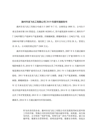 滁州市龙飞化工有限公司2019年度环境报告书doc.docx