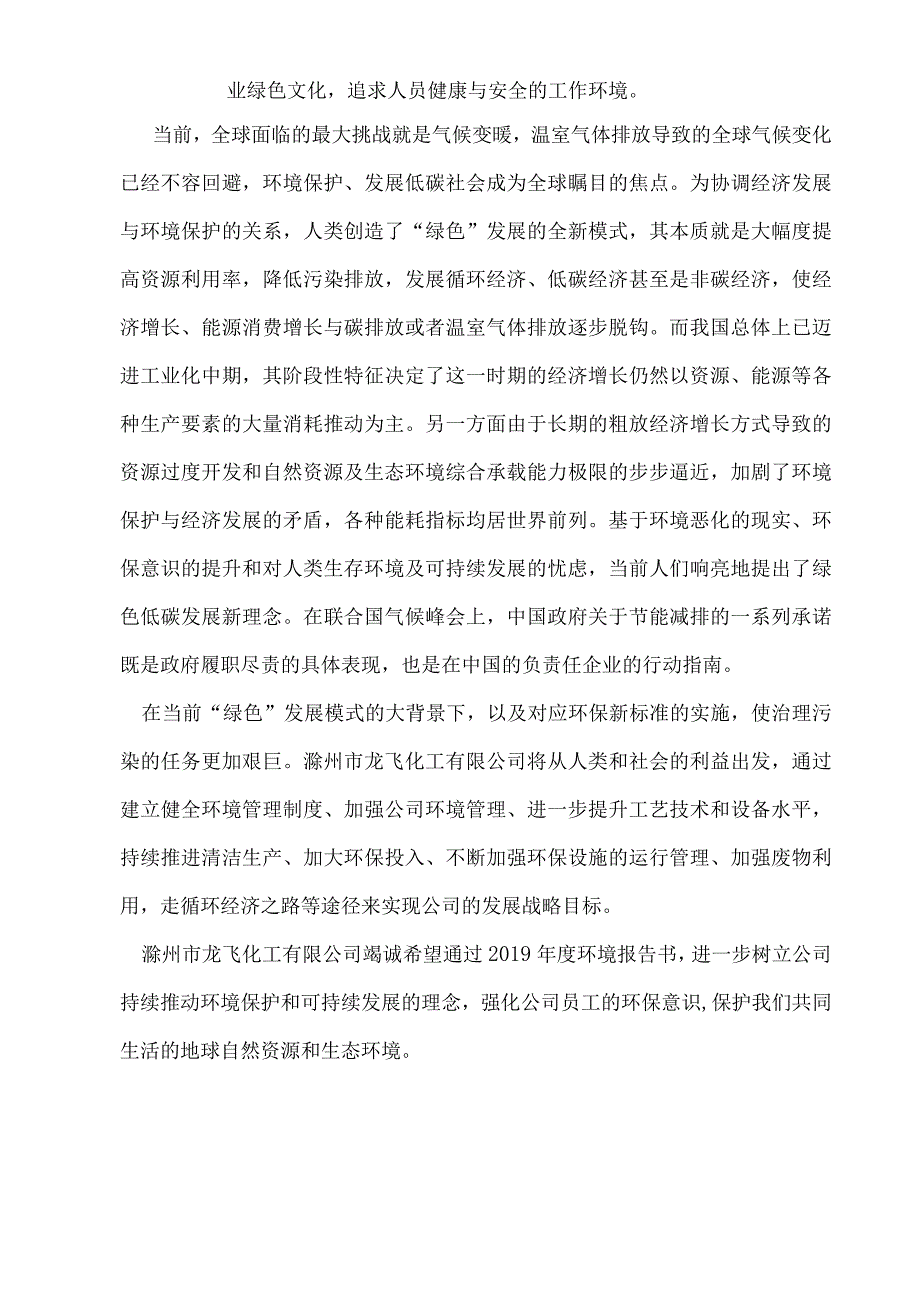 滁州市龙飞化工有限公司2019年度环境报告书doc.docx_第2页