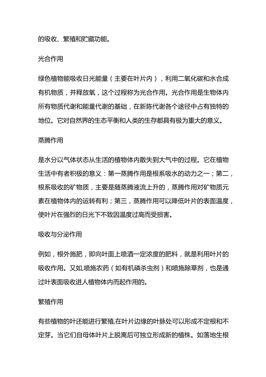 植物的叶子有什么作用.docx_第3页