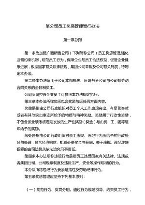 某公司员工奖惩管理暂行办法.docx