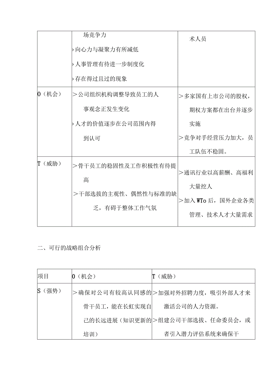 某某公司人力资源战略分析.docx_第2页