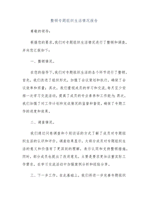 整顿专题组织生活情况报告.docx