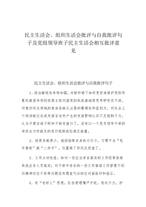 民主生活会、组织生活会批评与自我批评句子及党组领导班子民主生活会相互批评意见.docx