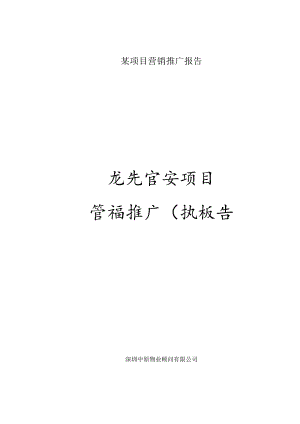 某项目营销推广报告.docx