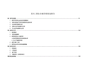 星河-国际名城营销策划报告.docx