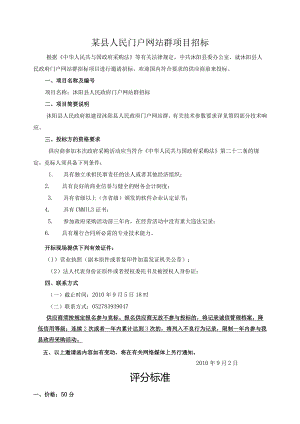 某县人民门户网站群项目招标.docx