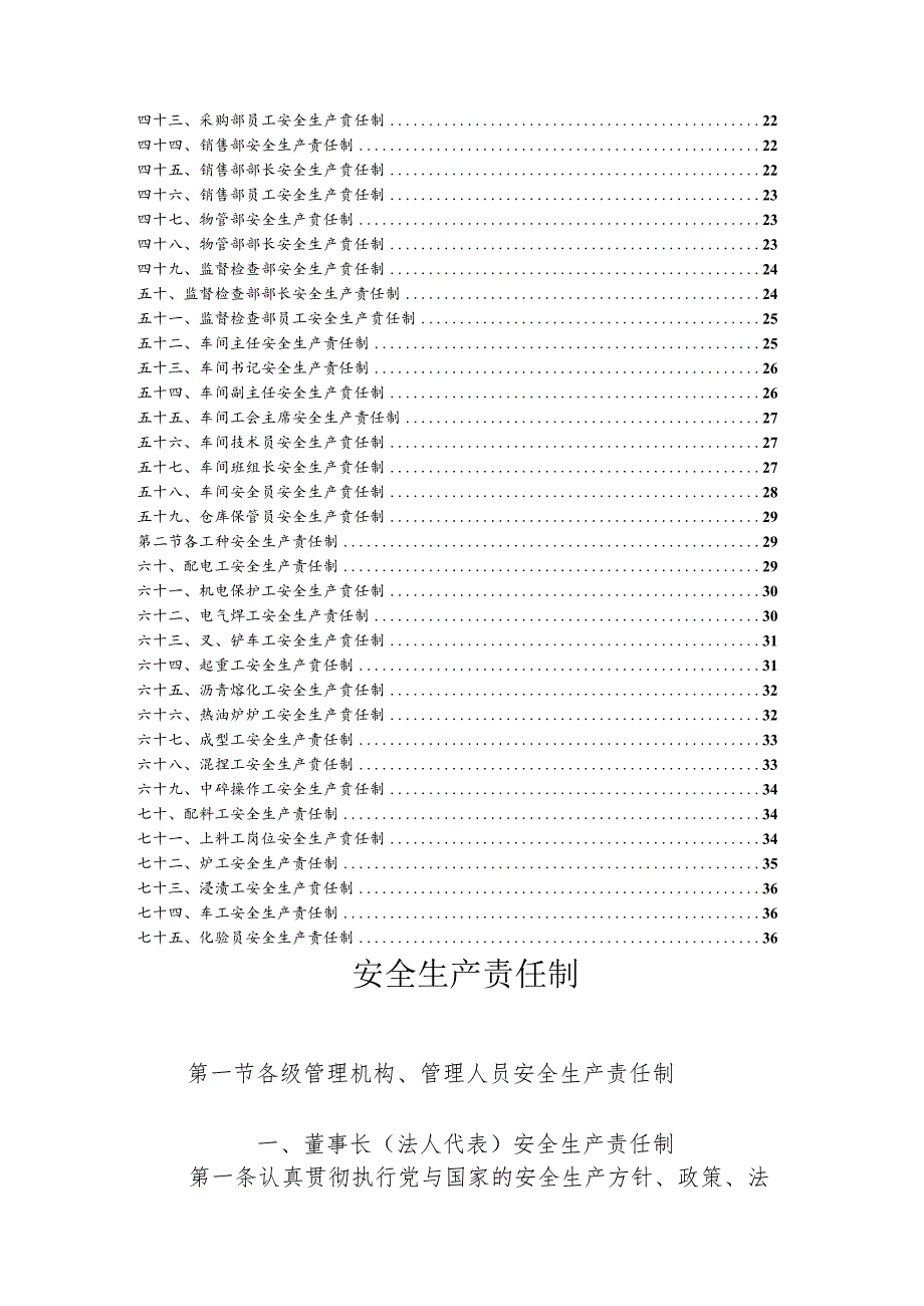 某公司安全生产责任制汇编(DOCX42页).docx_第3页