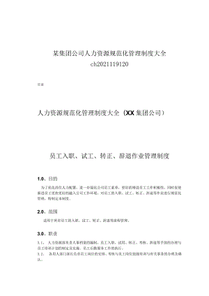 某集团公司人力资源规范化管理制度大全ch2021119120.docx