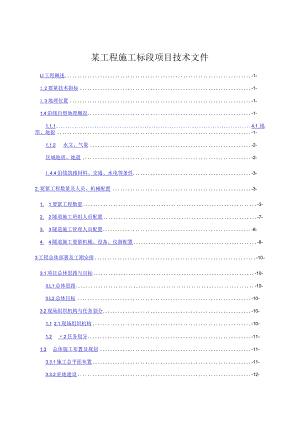 某工程施工标段项目技术文件.docx