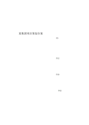 某集团项目策划全案.docx