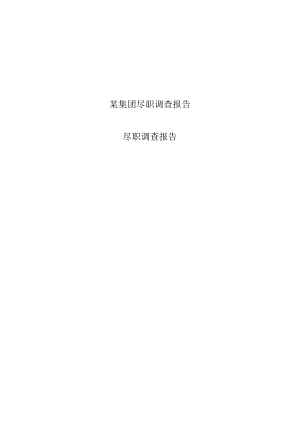 某集团尽职调查报告.docx