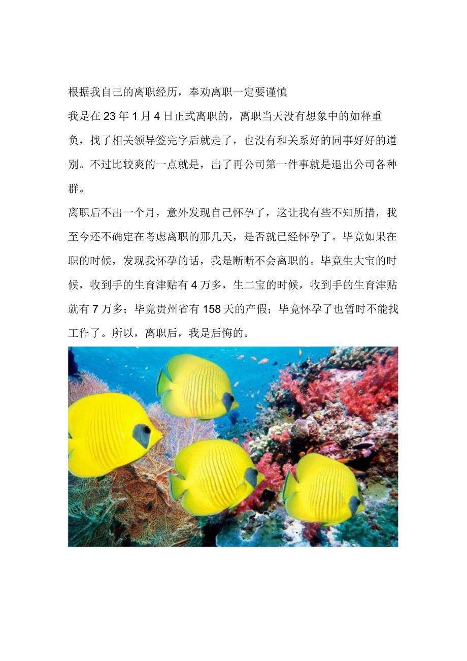 根据我自己的离职经历奉劝离职一定要谨慎.docx_第1页