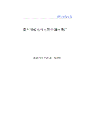 搬迁技改项目可行性实施报告.docx