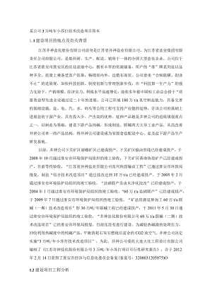 某公司3万吨年小苏打技术改造项目简本.docx