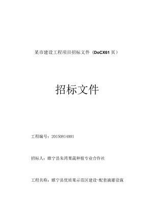 某市建设工程项目招标文件(DOCX61页).docx