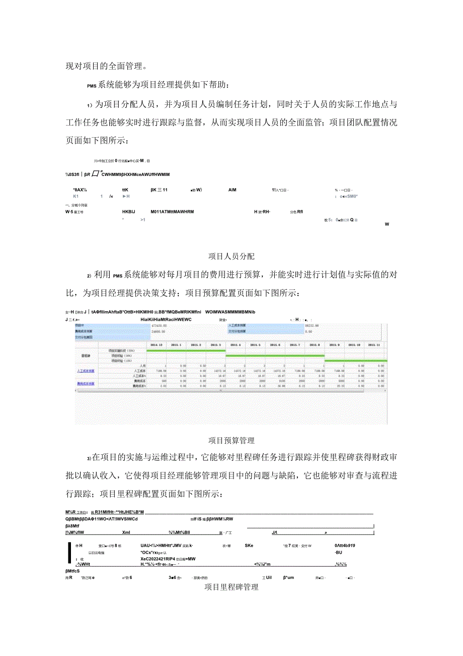 某项目实施管理方案.docx_第2页