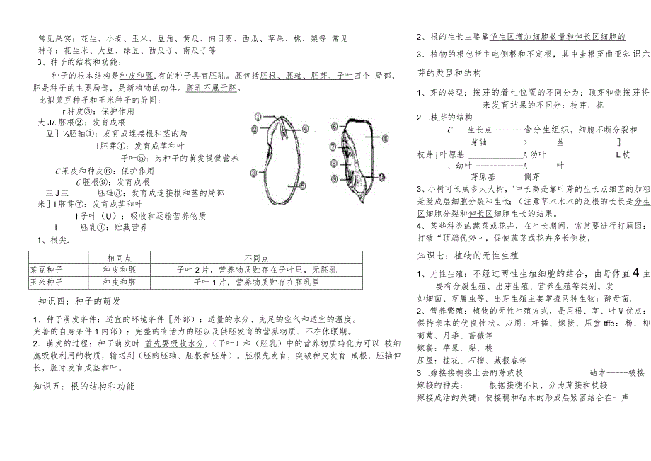 济南版八上第一章绿色开花植物的一生知识点.docx_第3页