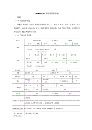 泰山典型古树保护复壮技术方案.docx