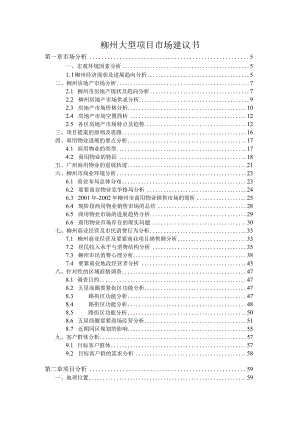 柳州大型项目市场建议书.docx