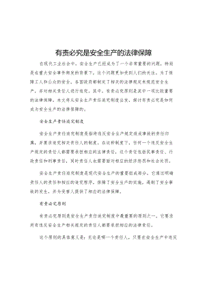 有责必究是安全生产的法律保障论安全生产责任追究制度.docx